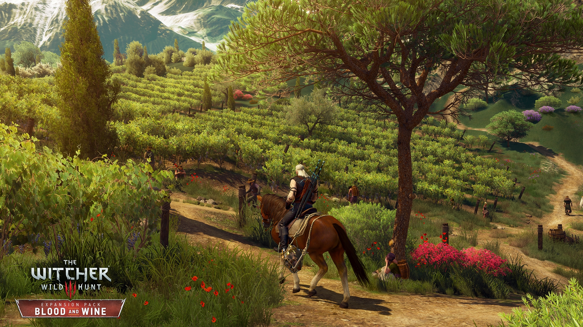 witcher 3 blood and wine maps
